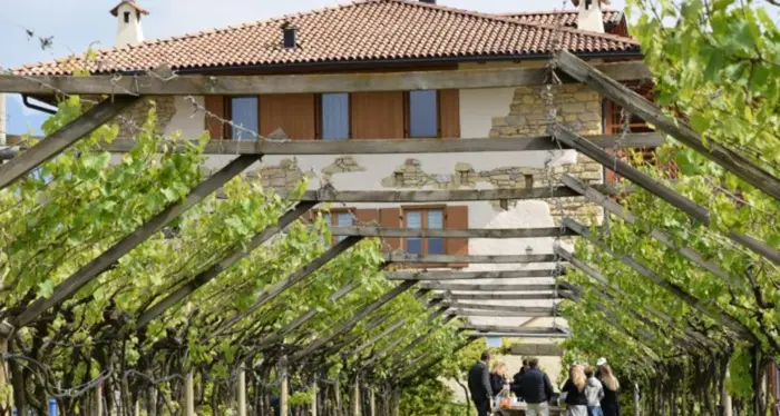 Tutti a spasso tra i masi delle Colline Avisiane: i 3 mila biglietti sono andati a ruba