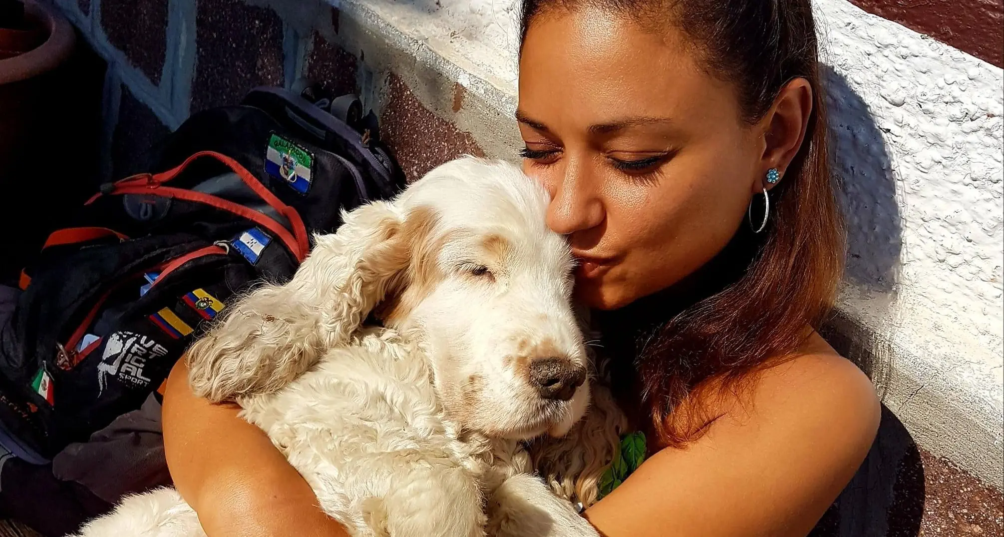 Trento, il pitbull la attacca mentre porta a spasso i suoi due cani: «Molte aggressioni al parco della Predara, la gente è stufa»