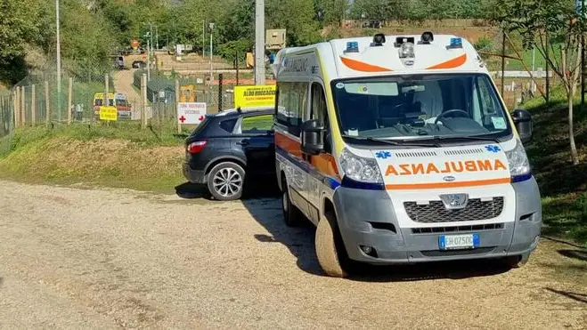 ANSA