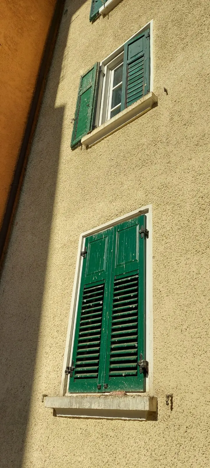 Assediati dai piccioni, gli inquilini Itea di via Fabio Filzi minacciano di non pagare le spese condominiali