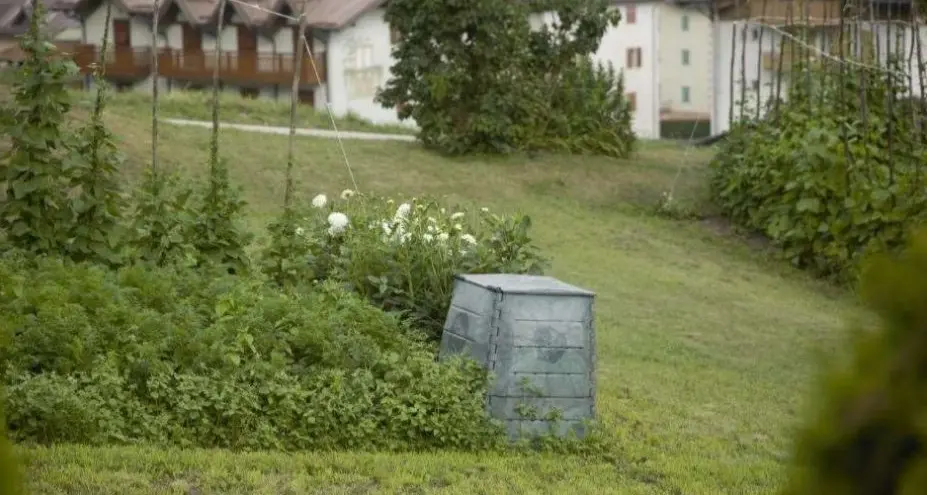 «Orsi in Trentino, ancora ritardi sulle misure di prevenzione»