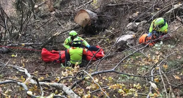 Travolto da un albero, 33enne muore a Bagolino