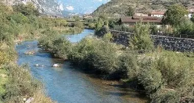 Diossine nelle anguille del Garda, nel mirino l’inquinamento del Sarca