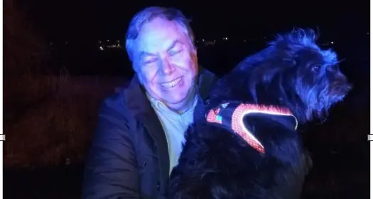 Il cane fugge spaventato dopo l’incidente sull’A22: salvato dalla Polstrada