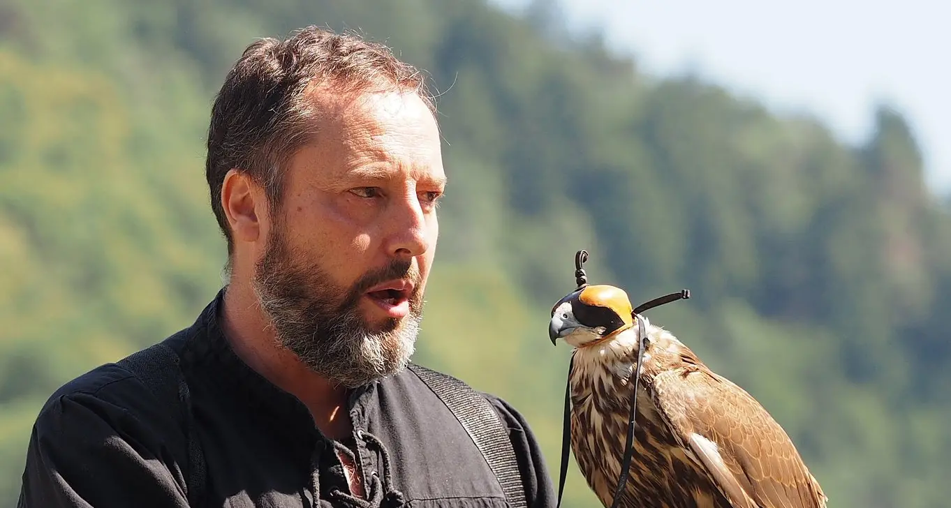 L'arte della falconeria arriva a Castel Stenico