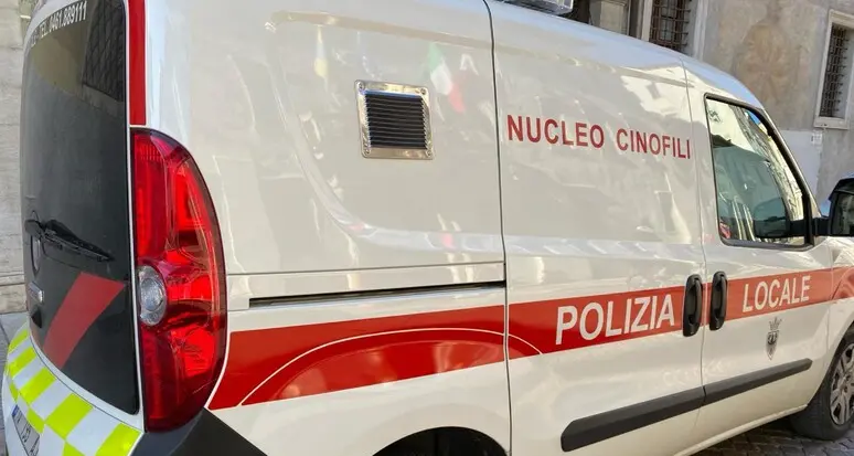 Trento, 9 arresti e 401 denunce per il Nucleo sicurezza urbana della Polizia locale