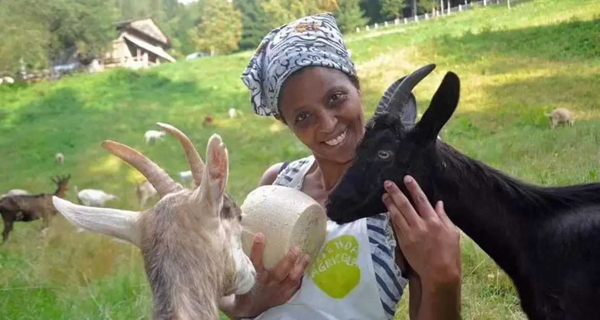 Agitu, i veterinari nella stalla di Frassilongo: animali in buone condizioni di salute