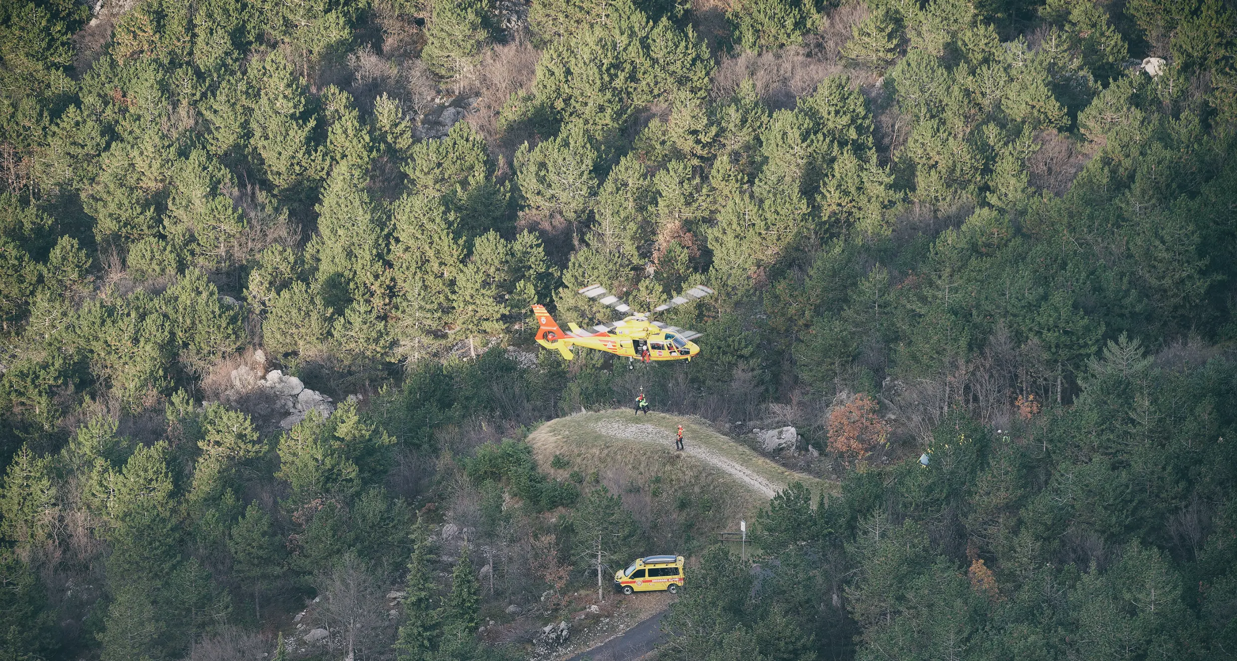 Vaia e bostrico, avviato il ripristino di 20mila ettari di boschi danneggiati