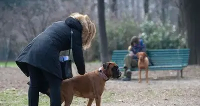 La banca dati del dna dei cani contro le deiezioni lasciate per strada: l’idea parte da Calceranica ma interessa a tanti