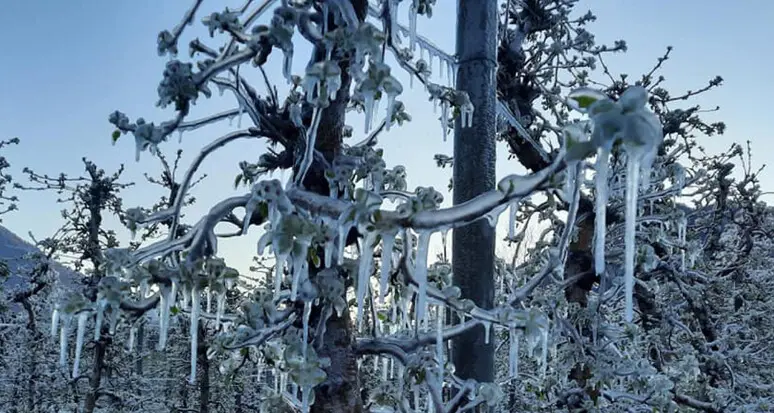 Torna il freddo con rischio gelate: le previsioni dei prossimi giorni in Trentino