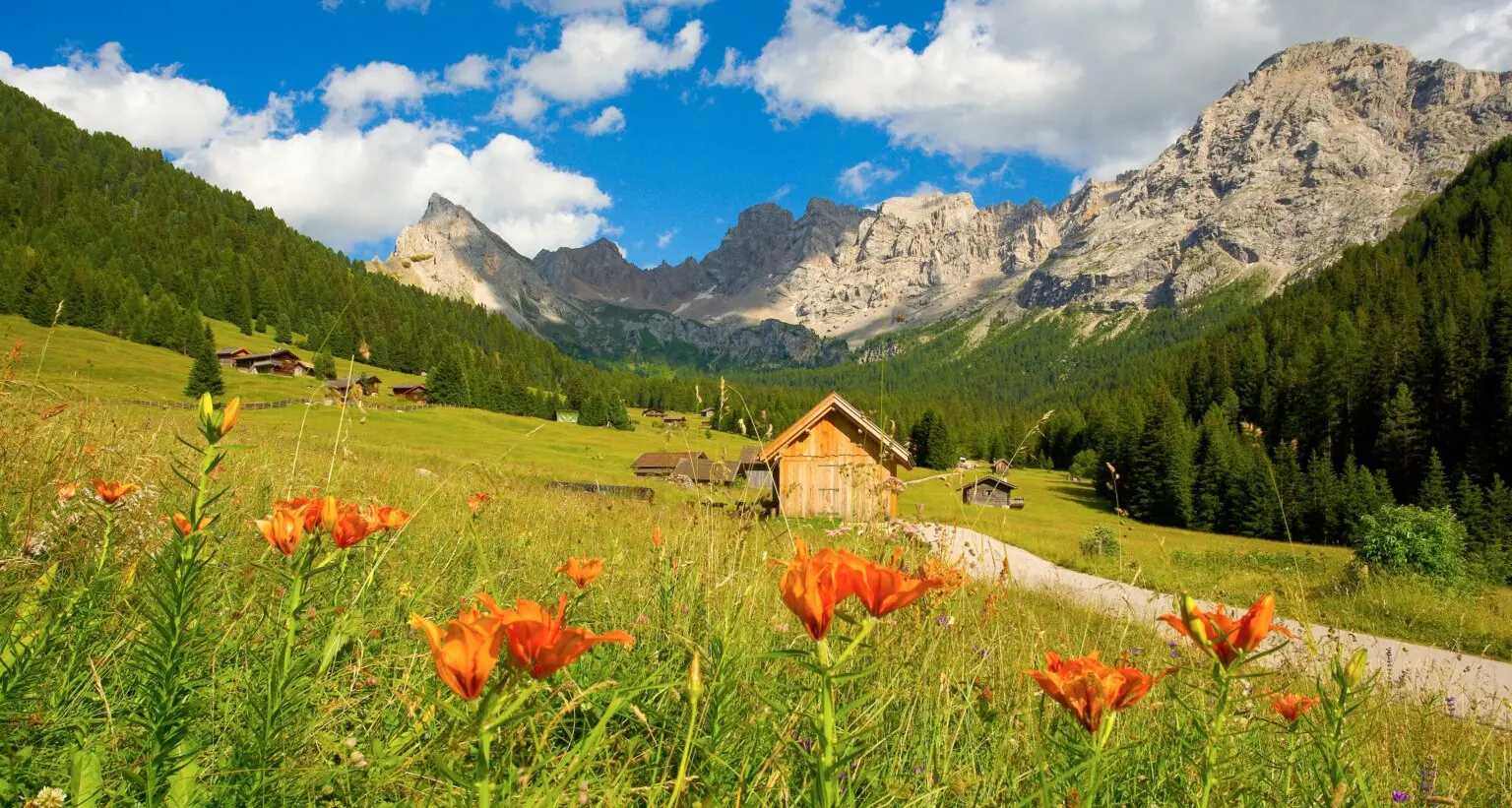In cammino per la pace, sui sentieri della Grande Guerra