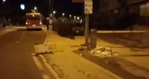 Rifiuti rovesciati a Roncafort, fiori gettati a terra a ponte San Giorgio: notte di vandalismi a Trento