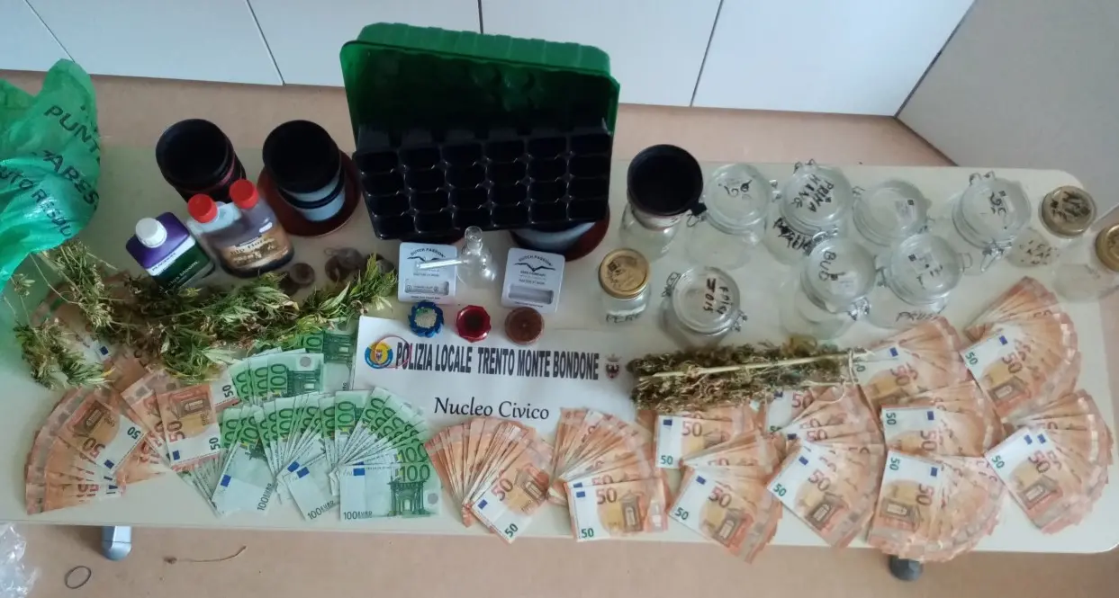 Coltivazione di cannabis vicino al “sentiero natura” di Martignano: 60enne denunciato