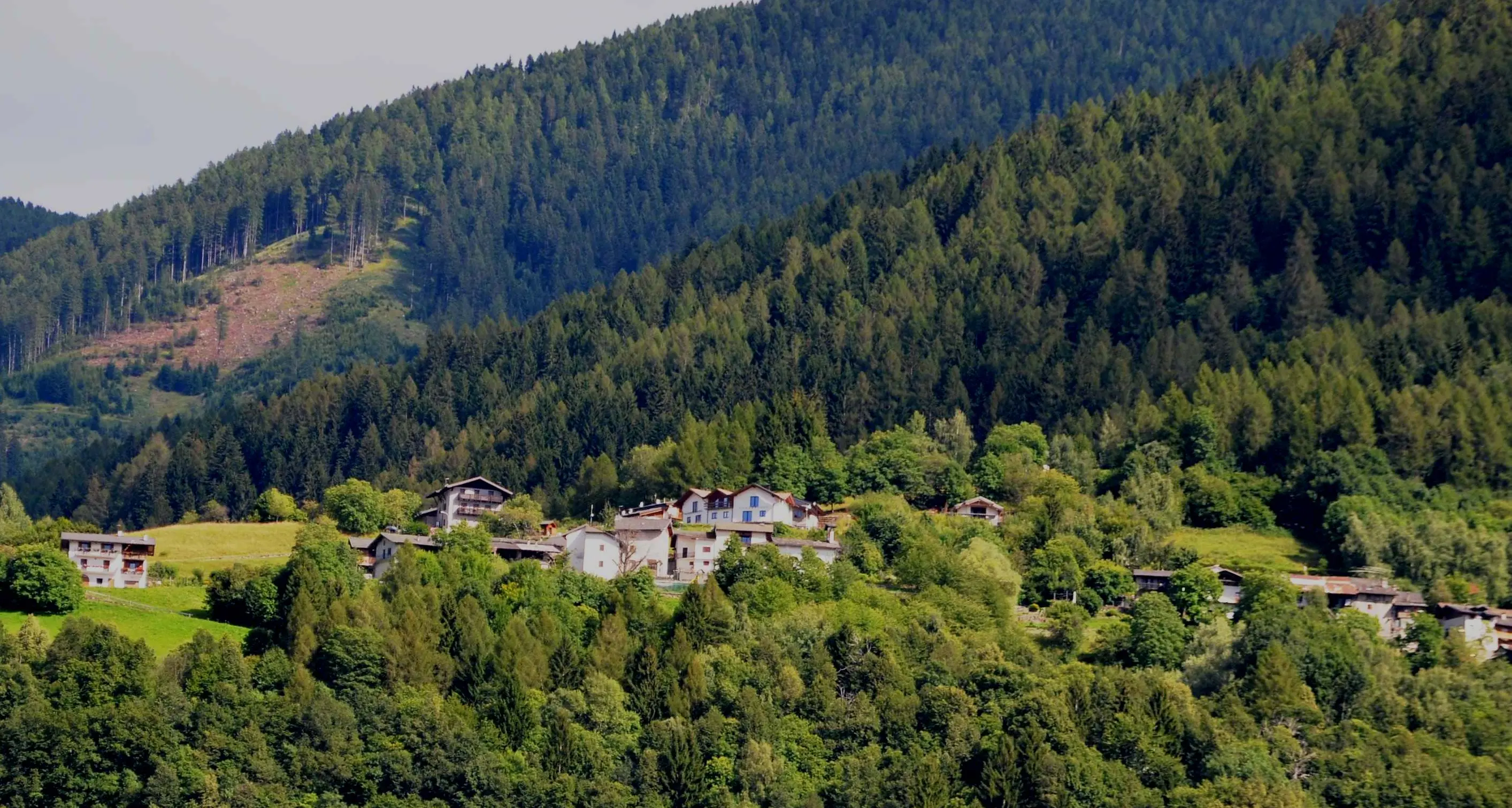 Il Comune più giovane del Trentino? Vignola Falesina: l’età media e 40,4