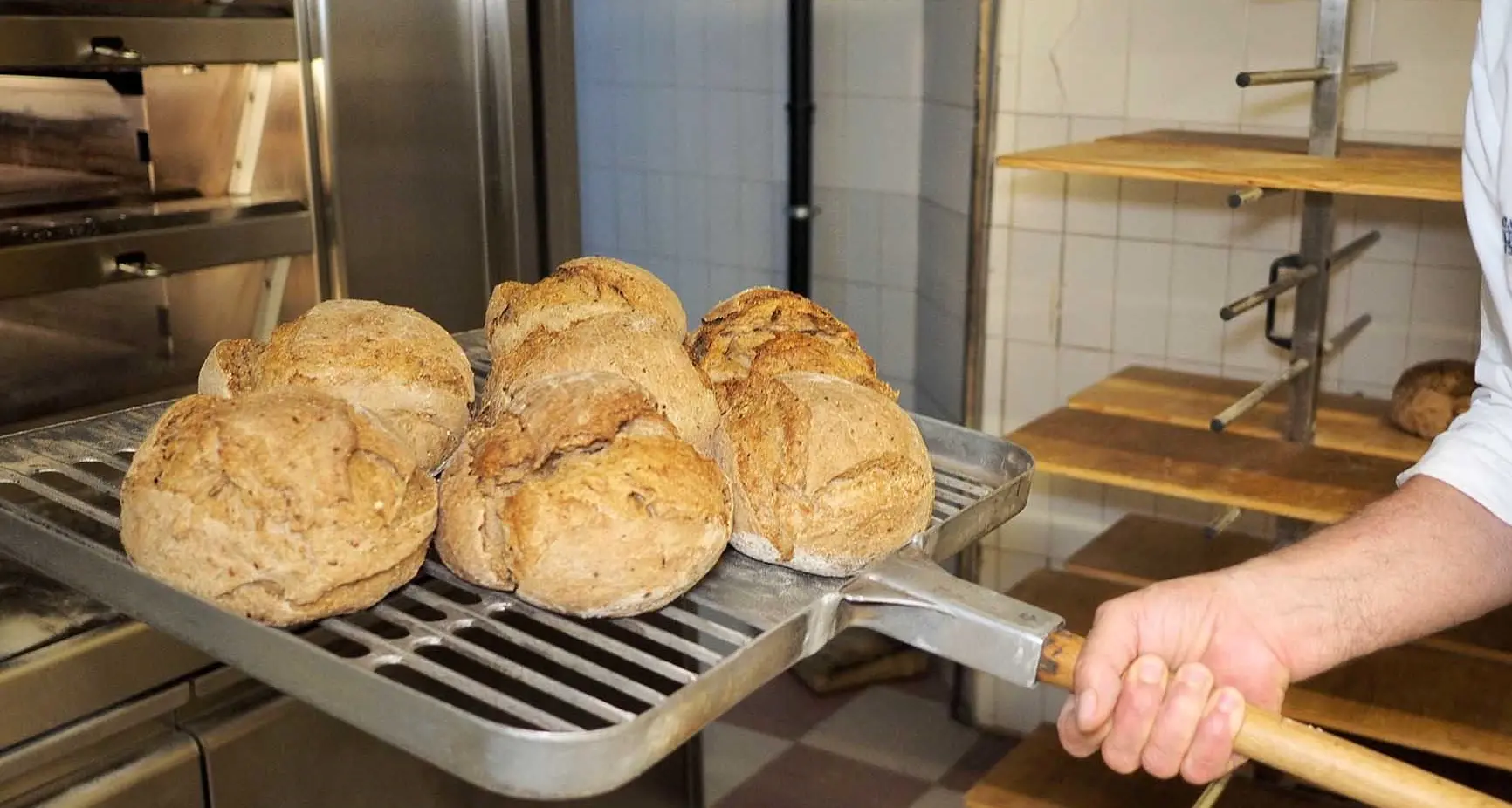 «Profumo di pane trentino», quattro giorni alla scoperta del pane di montagna