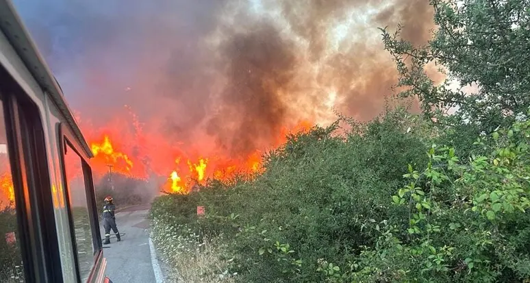 Da inizio anno in Italia in fumo 51.386 ettari di vegetazione: l’80% in Sicilia