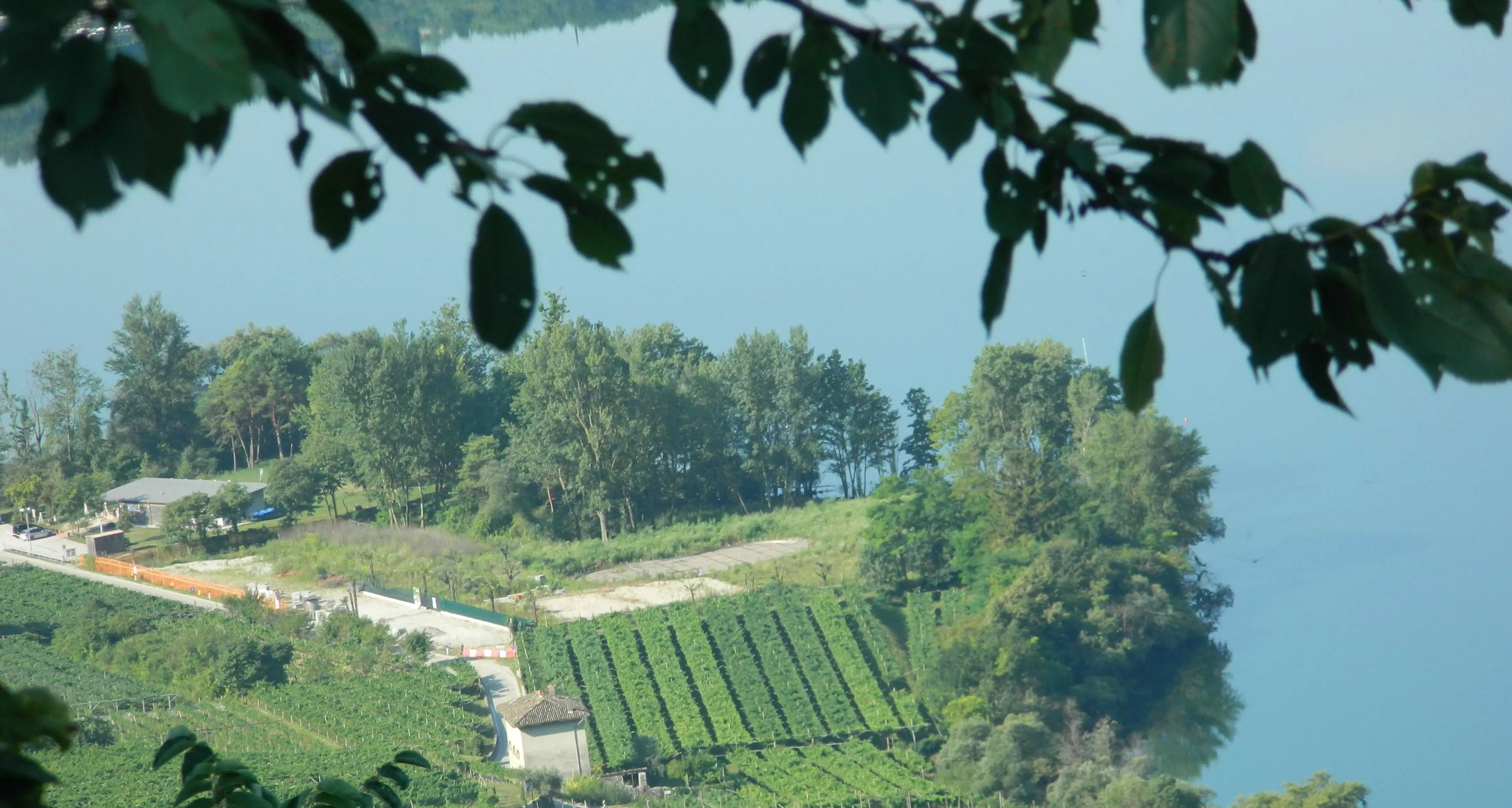 Anziano si perde nel bosco sopra il lago di Cavedine: ritrovato illeso ma infreddolito