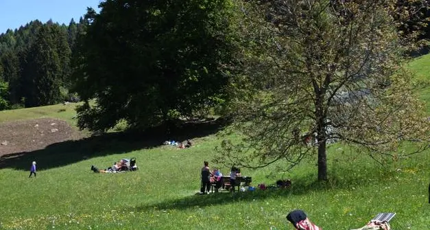 Parco Naturale del Bondone, la Circoscrizione torna all’attacco