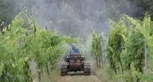 Frutticoltura, Apot: in Trentino uso di pesticidi calato del 40% in 10 anni