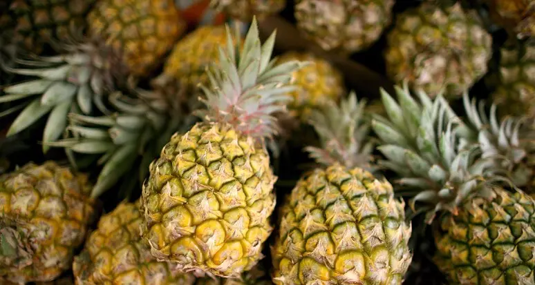 Colombia: sequestrati 63 kg di cocaina nascosti in ananas finti