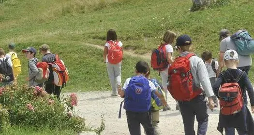 Covid, gite scolastiche ancora a rischio tra Green Pass e studenti non vaccinati