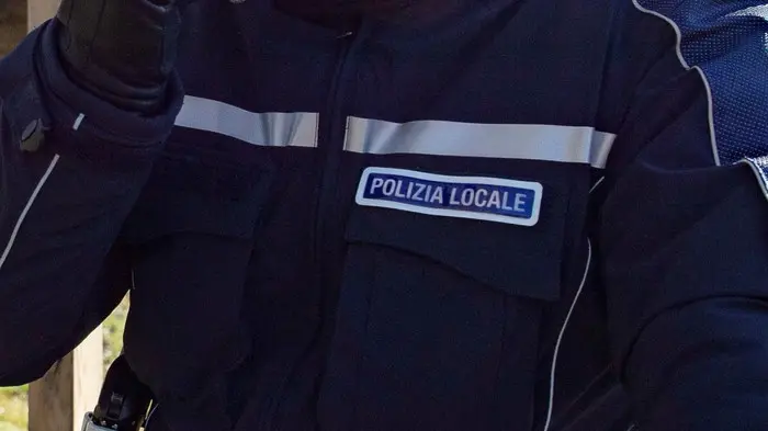 ANSA