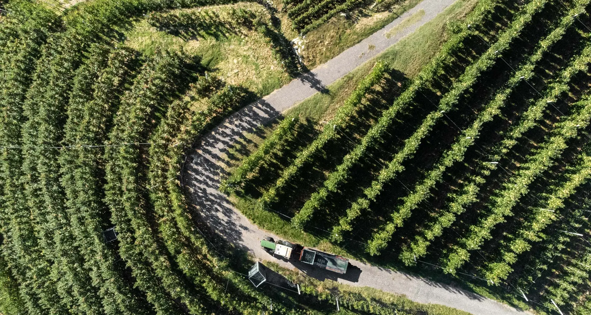 Da Cooperfidi un milione di risorse per le imprese agricole e ittiche che adottano le rinnovabili