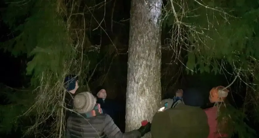 Fiaccolata a Ledro per “salvare” l'abete destinato al papa: «Francesco ci aiuti, si risparmi il Gigante Verde»