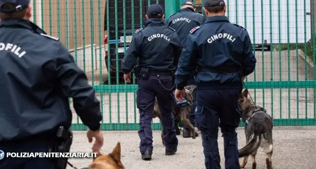 Giudicarie, controlli straordinari antidroga: l’azione della cinofila nel weekend