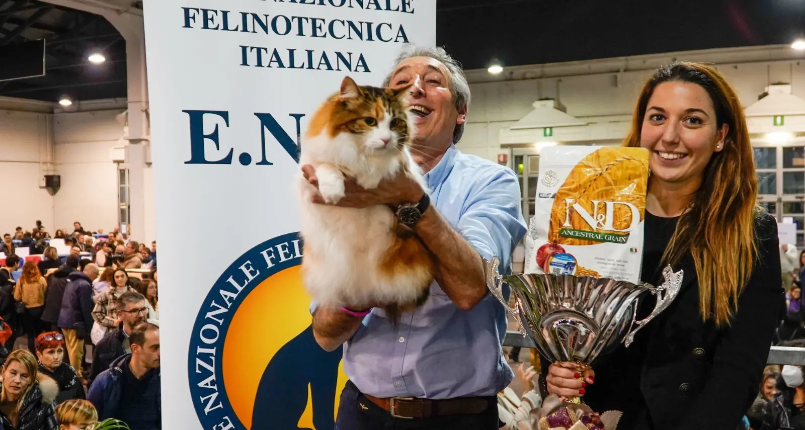E’ Poldo (dalla Valsugana) il gatto più bello del mondo