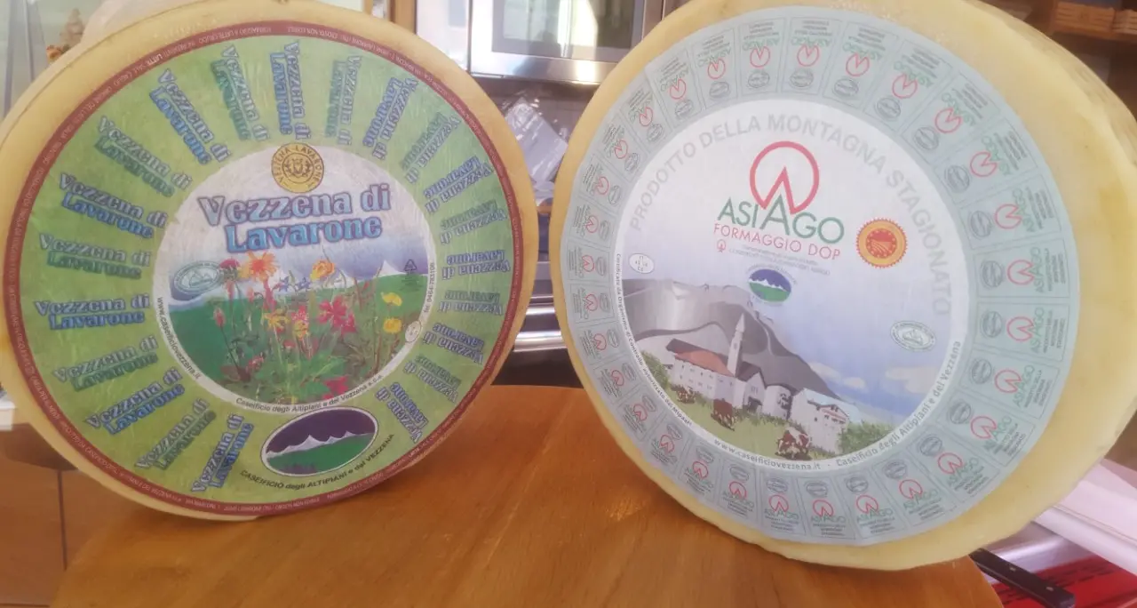 Il Vezzena e l’Asiago Dop accolti nel Gruppo Formaggi del Trentino