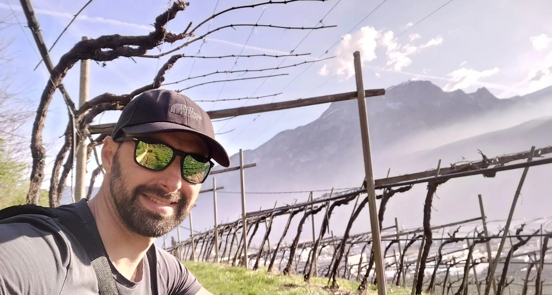 Dalla gastronomia alla vigna: la nuova vita di Renato tra uva, api e sogni in terrazza
