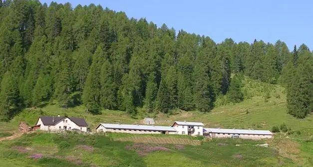 Sistemazione di Malga Clesera, ora il Comune di Cles punta ai fondi del Pnrr