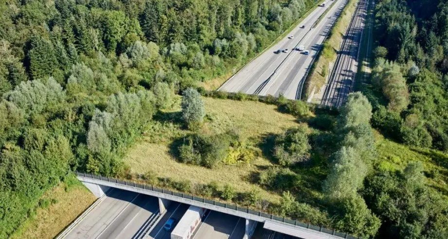 L’Oipa: «Il no ai corridoi faunistici, è un’occasione persa per il Trentino»