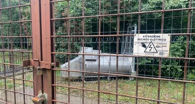 La Lav: «Portare JJ4 in un rifugio protetto all’estero»