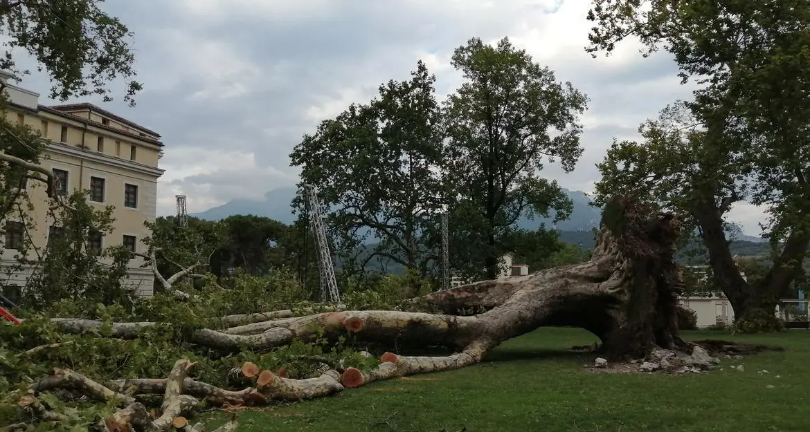 Danni per le piogge di luglio in Trentino, via agli indennizzi