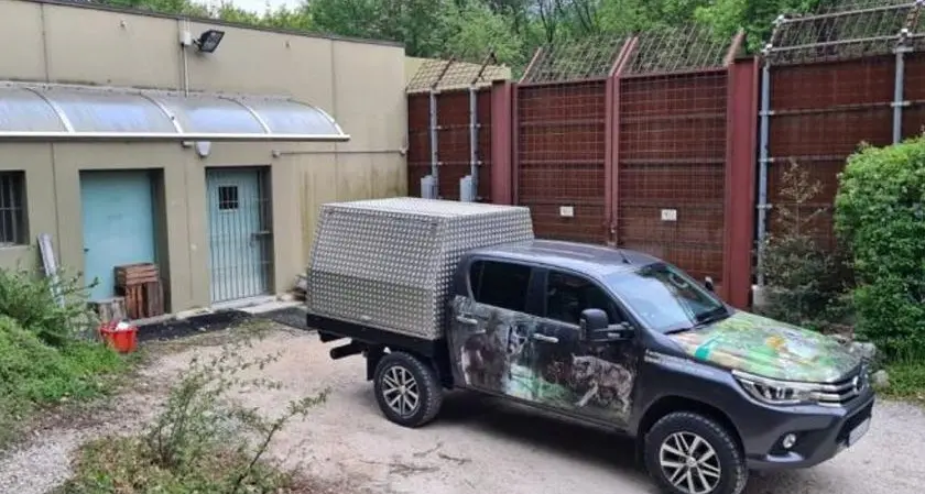 La rabbia animalista: “Dj3 trasferita di nascosto”
