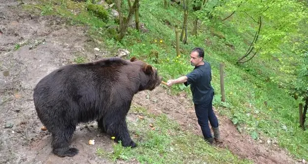 Morte di Fausto Iob, i carabinieri arrestano un boscaiolo della val di Non