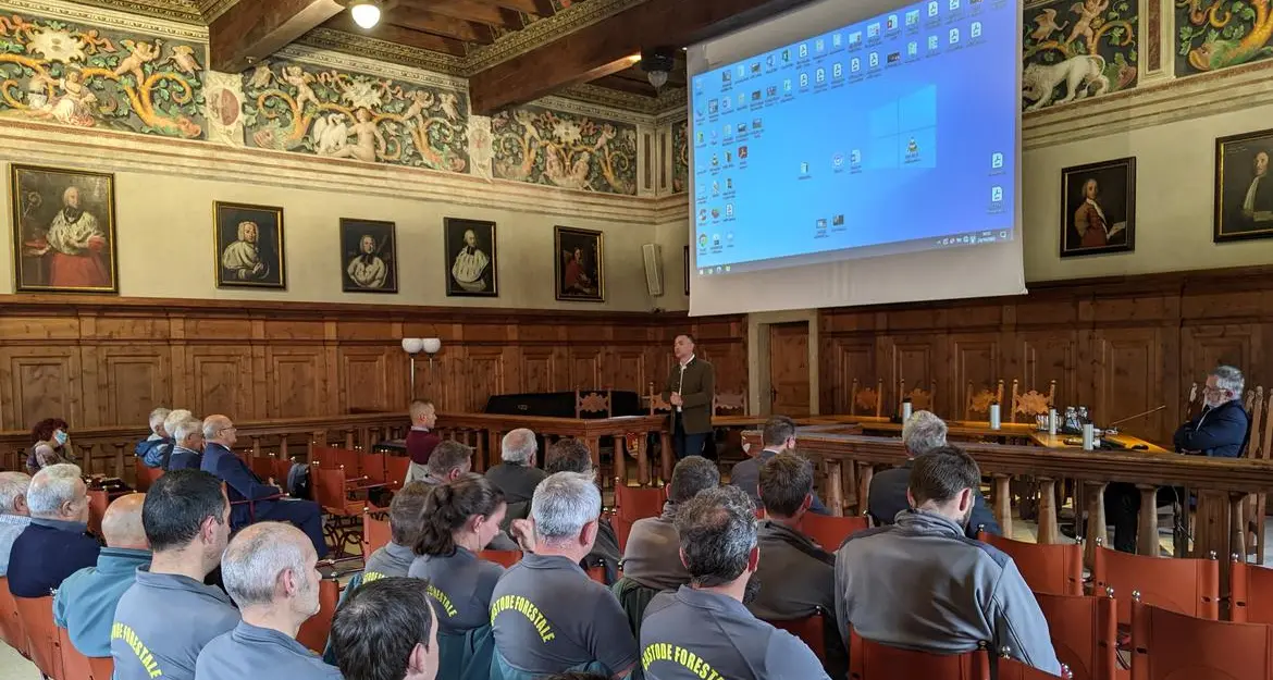Dopo Vaia la piaga del bostrico nei boschi di Fiemme e Fassa. Ecco le strategie per combatterlo