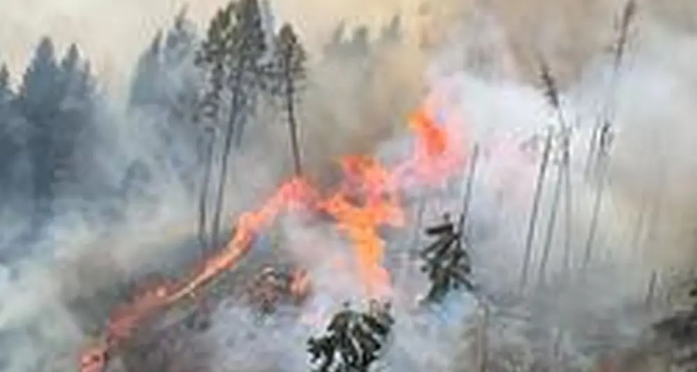Paura in Panarotta: a fuoco 70 ettari di bosco, è caccia ai piromani