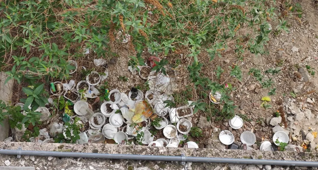 Il bosco del palaghiaccio di Trento trasformato in discarica