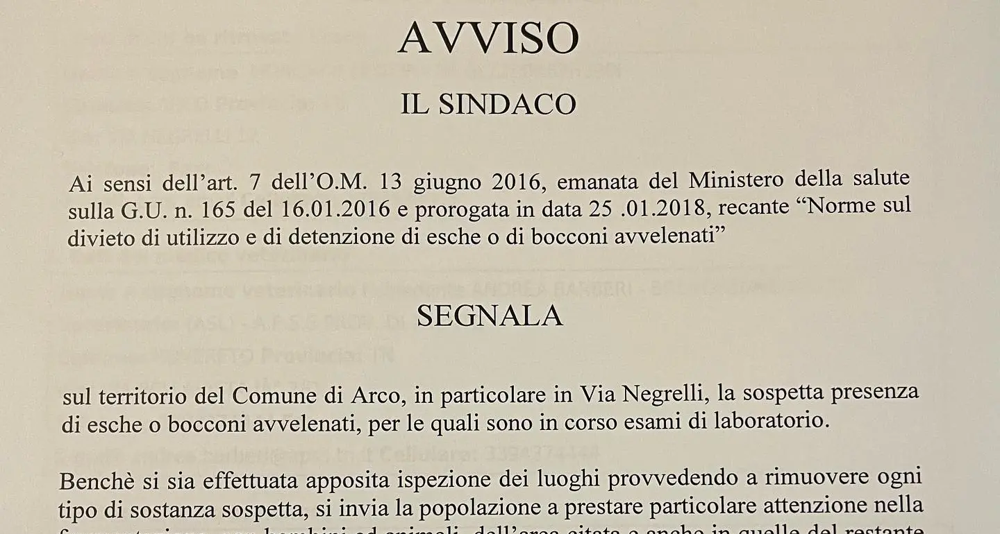 «Attenzione ai bocconi avvelenati»: l’allarme del sindaco di Arco, Alessandro Betta
