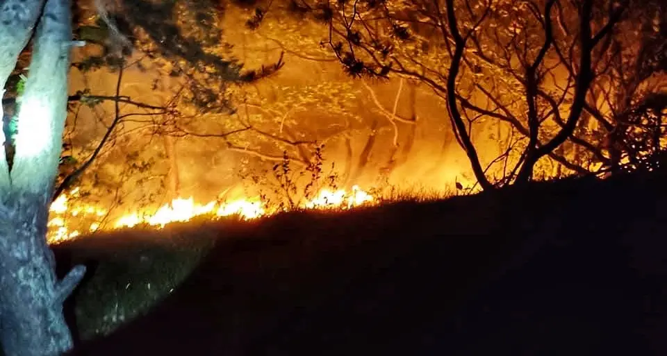 A fuoco il bosco nella valle del Chiese: si sospetta il dolo