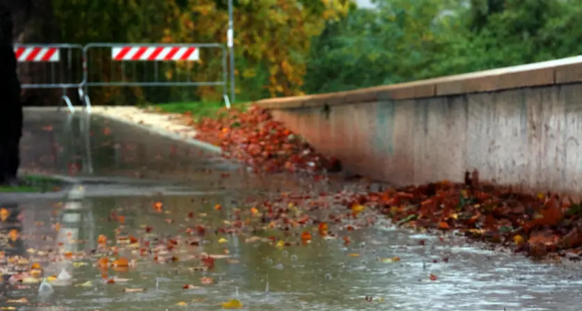 In Trentino già caduti fino a 25 millimetri di pioggia, record di 35 a Daone