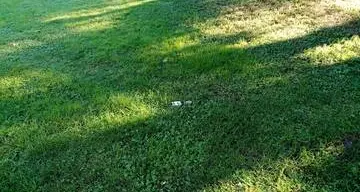 Ancora notti brave a Riva (e i parchi si riempiono di sporcizia e vetri rotti)