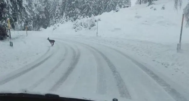 Arriva la neve in Trentino Alto Adige, le previsioni: soleggiato con temperature in calo
