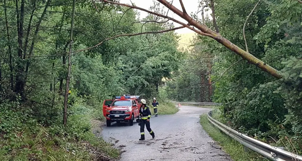 Allarme (rientrato) per la scomparsa di due ragazzine in Trentino