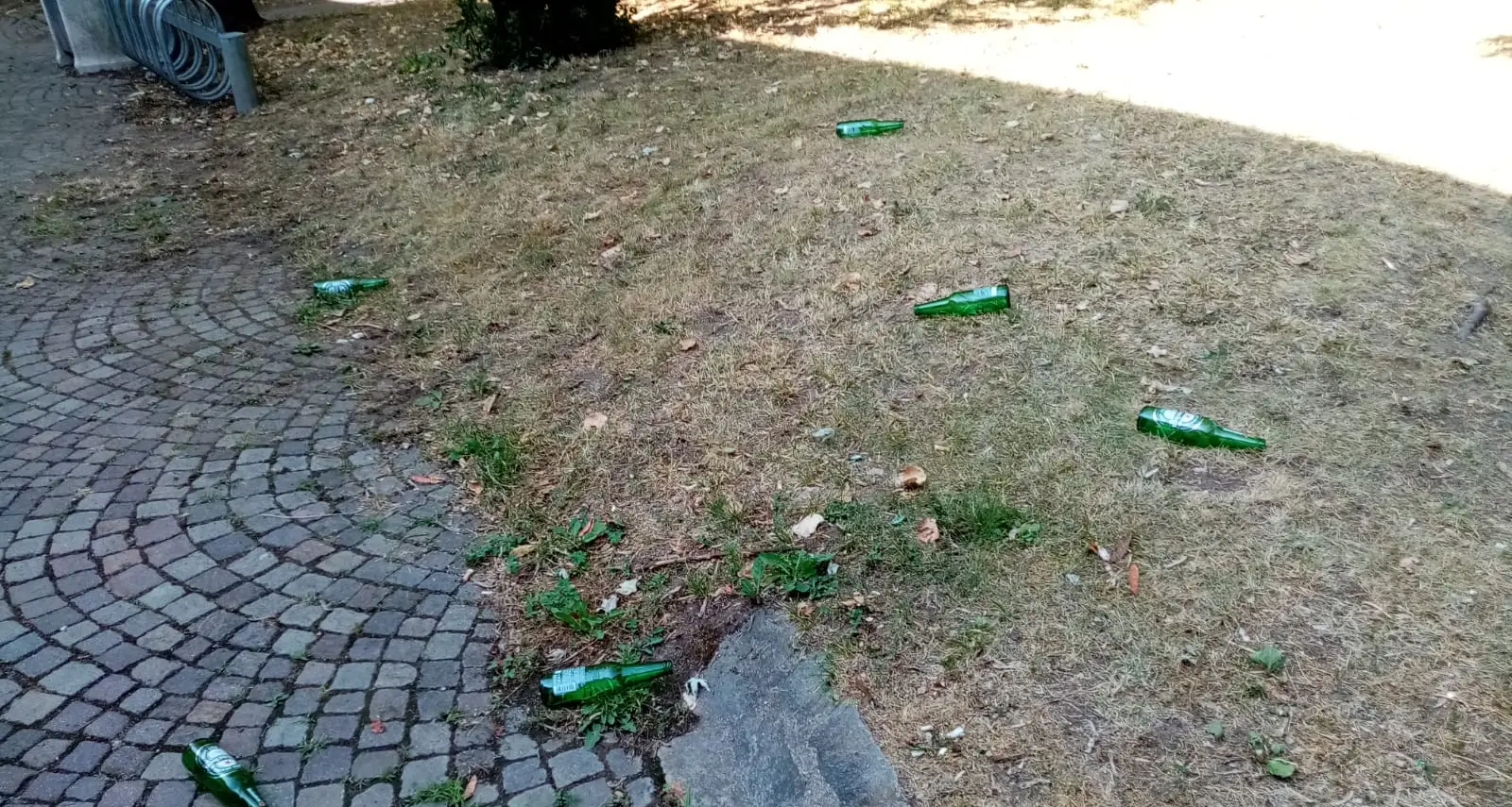 Il parco di Canova trasformato in discarica a cielo aperto, la Bocciofila è stufa: «Nessuno interviene»