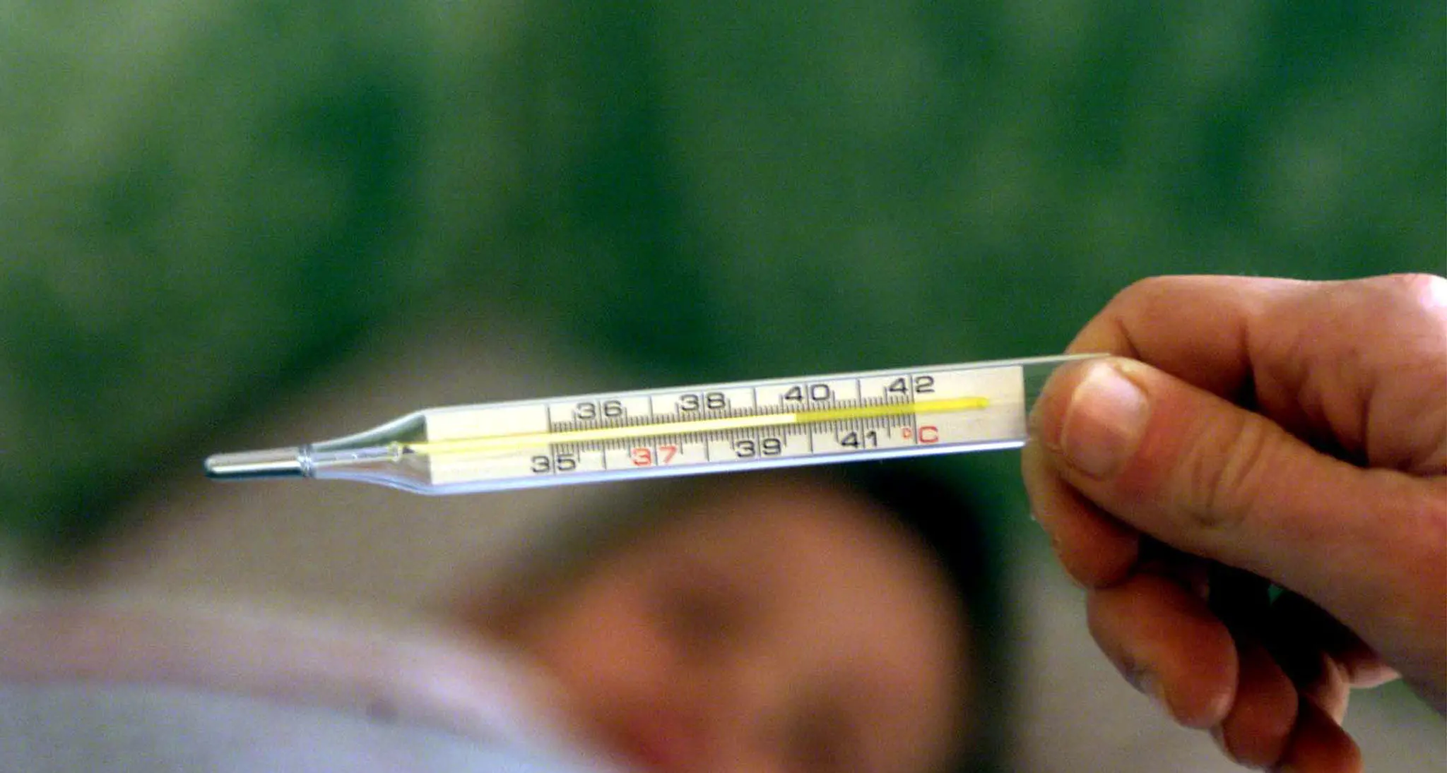 Influenza, dal 2 novembre inizia la vaccinazione in Trentino