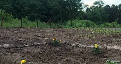 Beni comuni, a Trento fioriscono le iniziative: in via Medici un orto per coltivare ortaggi e relazioni